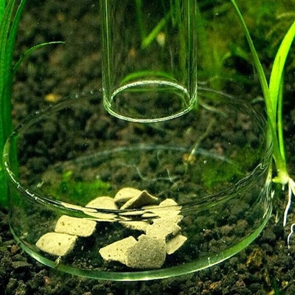 Aquarium Fish Tank Acrylic Shrimp Feeding Food Dish Bowl Feeder Tray  Container 