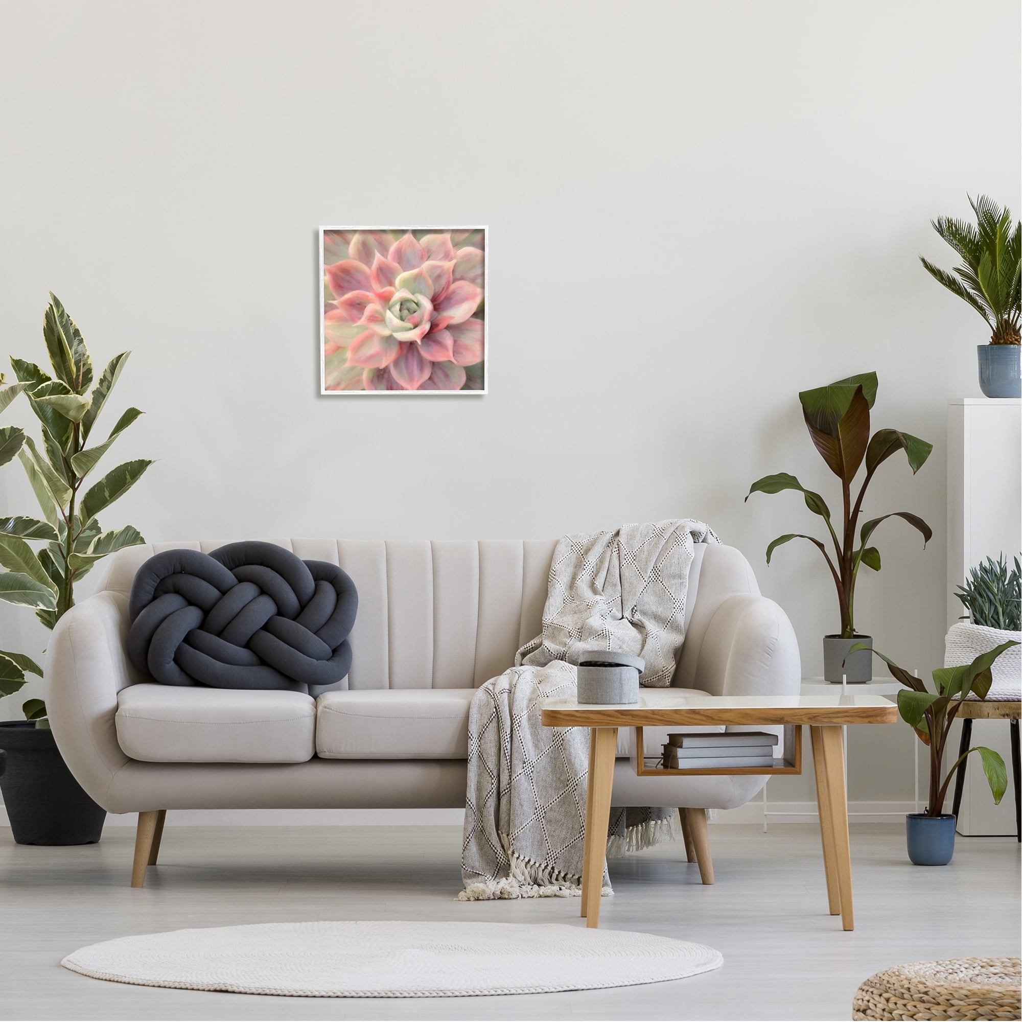 Stupell Industries Pink Symmetrical Succulent Botanical & Floral Painting White Framed Art Print Wall Art, 17 x 17