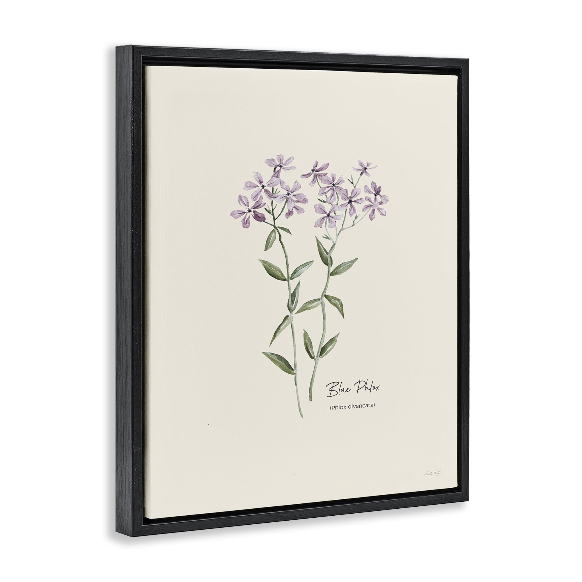 Stupell Industries Country Herb Diagram Botanical & Floral Painting Black Floater Framed Art Print Wall Art, 17 x 21