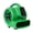 Green, variant on 1/5HP P230AT MINI AIR MVR