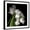Black Frame, variant on Art.com Frayed Tulips Photographic Print by Magda Indigo, 30" x 30"