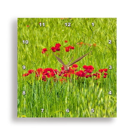 3dRose, Italy, Umbria, Assisi. Spring poppies in wheat field, 15x15 Wall Clock