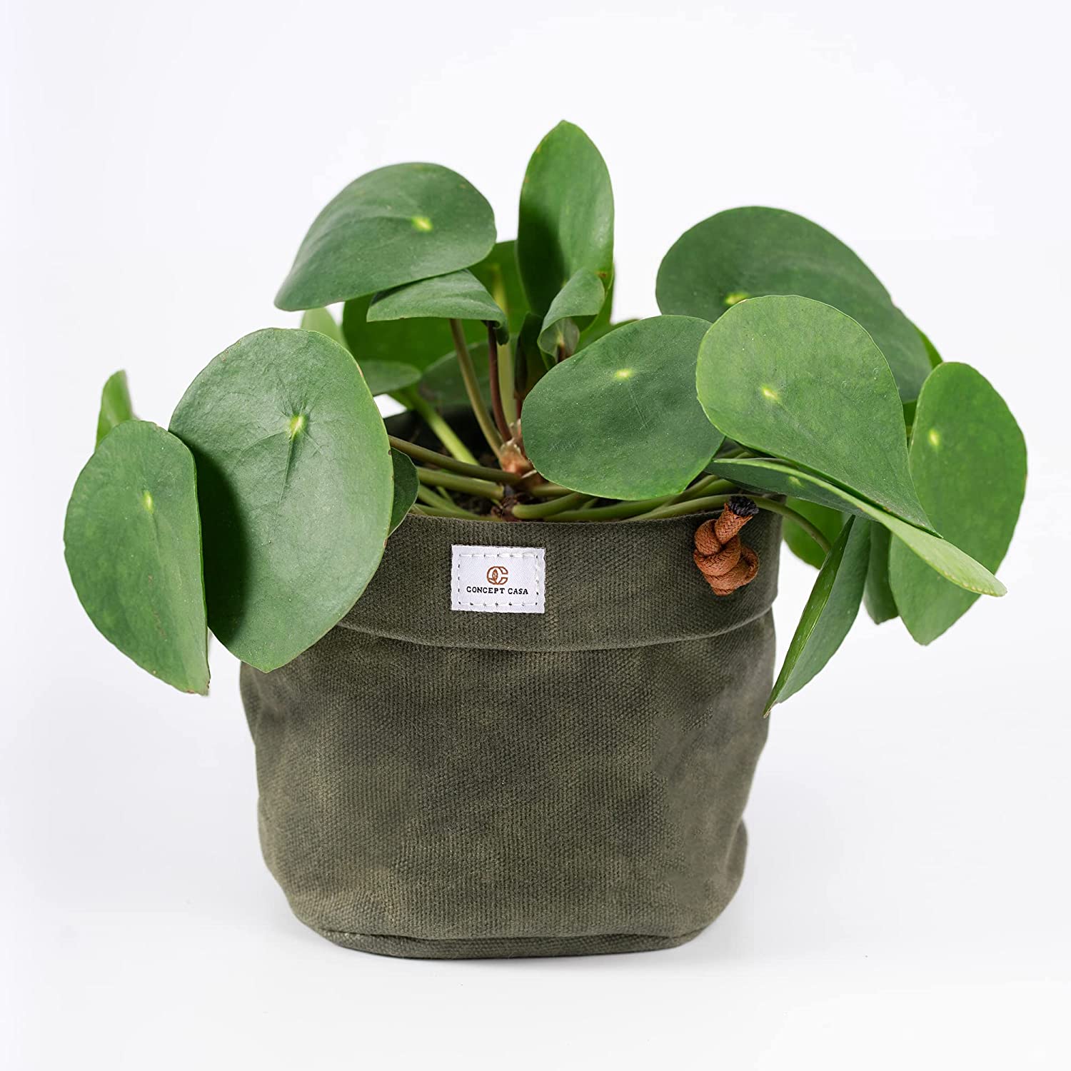 Concept Casa Small 5" Solid Print Hanging Planter with Handmade Waxed Canvas (Forest Green)