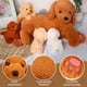 thumbnail image 5 of Set de animales de peluche para perros Golden Retriever con cachorros, 5 of 7