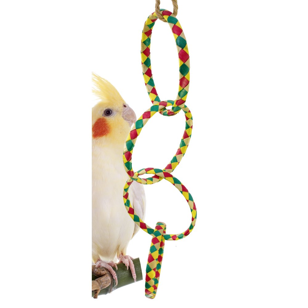 03147 Large Four Ring Chain Bird Toy