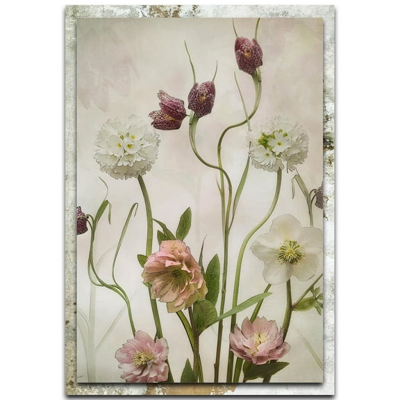 Spring Garden Distressed Frame