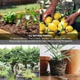 thumbnail image 4 of Palmetto 4 Cu Ft Organic Grade 3 Coarse Vermiculite Planting Soil Additive, 4 of 8