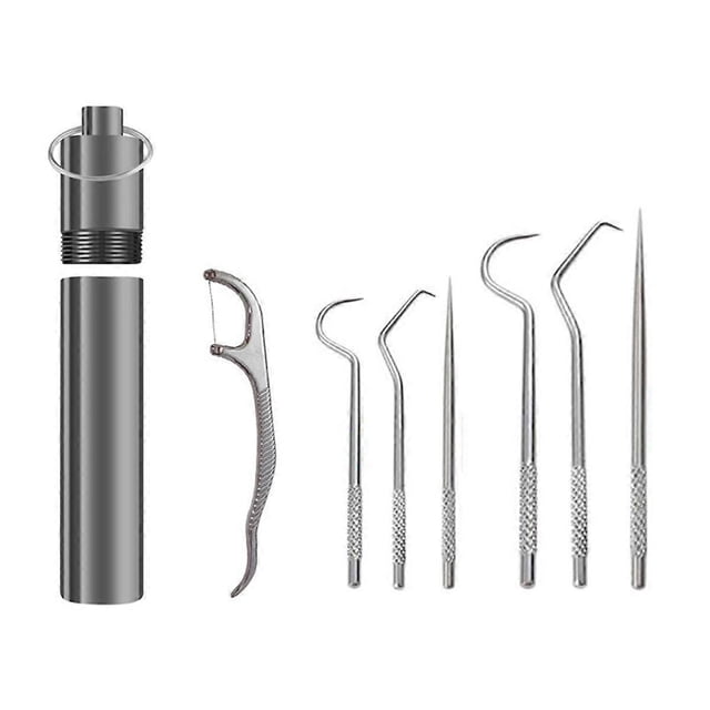 Flossing Metal Toothpicks Set Reusable Toothpicks Portable Toothpick Floss Teeth Cleaner Oral Care Cleaning Tools,B