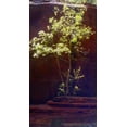 thumbnail image 2 of Popcorn 19x32 Gold Ornate Wood Framed with Double Matting Museum Art Print Titled - Oak Creek Canyon I, 2 of 4