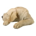 thumbnail image 4 of Large Realistic Sleeping Yellow Labrador Retriever Statue 21"H Golden Retriever, 4 of 10