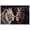 Unframe-style, variant on Regal King and Queen Lions Canvas Wall Art with Crowns, Majestic Wildlife Animal Poster Print for Living Room Bedroom Office Home Decorations