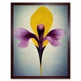 thumbnail image 1 of Simple Elegant Single Orchid Purple Yellow Art Print Framed Poster Wall Decor 12x16 inch, 1 of 5