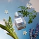 thumbnail image 4 of Perfume CLEAN CLASSIC Spring Breeze 60 ml, 4 of 5