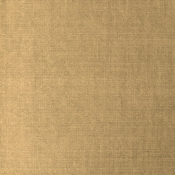 Ahgly Company Indoor Square Solid Brown Modern Area Rugs, 6' Square