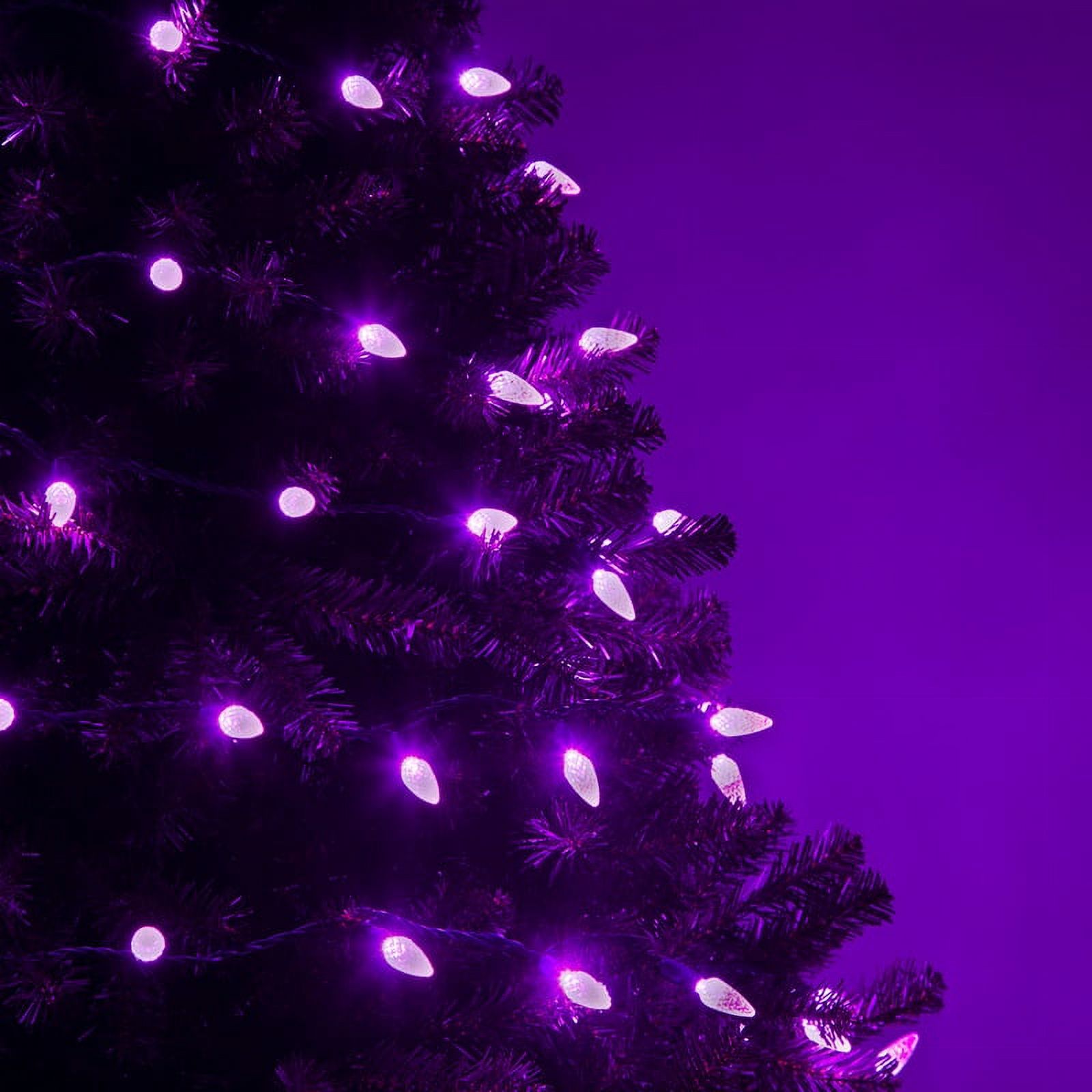 Wintergreen Lighting C6 Purple Christmas Lights LED String Lights, Set of 70 Lights on Green Wire, 24 Ft - Indoor/Outdoor Lighting - image 2 of 7