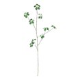 thumbnail image 1 of Plantas verdes artificiales realistas de estilo chino, plantas de imitación para el hogar, la oficina, el interior y el exterior, jarrones decorativos con hojas falsas., 1 of 8