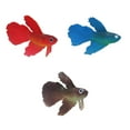 thumbnail image 4 of kurtrusly Flexible And Realistic Soft Small Fake Fish For Landscaping Aquarium Decoration Impeccable Gift brown 1Set, 4 of 6