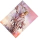 thumbnail image 3 of Mariposa Ángel Sin marco Imágenes de diamantes de imitación Estilo étnico Pintura decorativa hecha a mano Adornos para el hogar Yuarrent JJ19280-00, 3 of 6