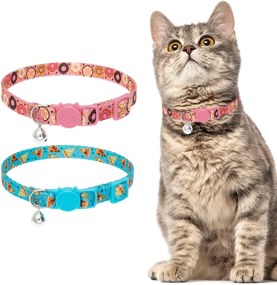 pizza cat collar