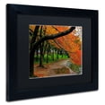 thumbnail image 3 of Trademark Fine Art "Tidal Basin Autumn 2" Canvas Art by CATeyes, Black Matte, Black Frame, 3 of 5