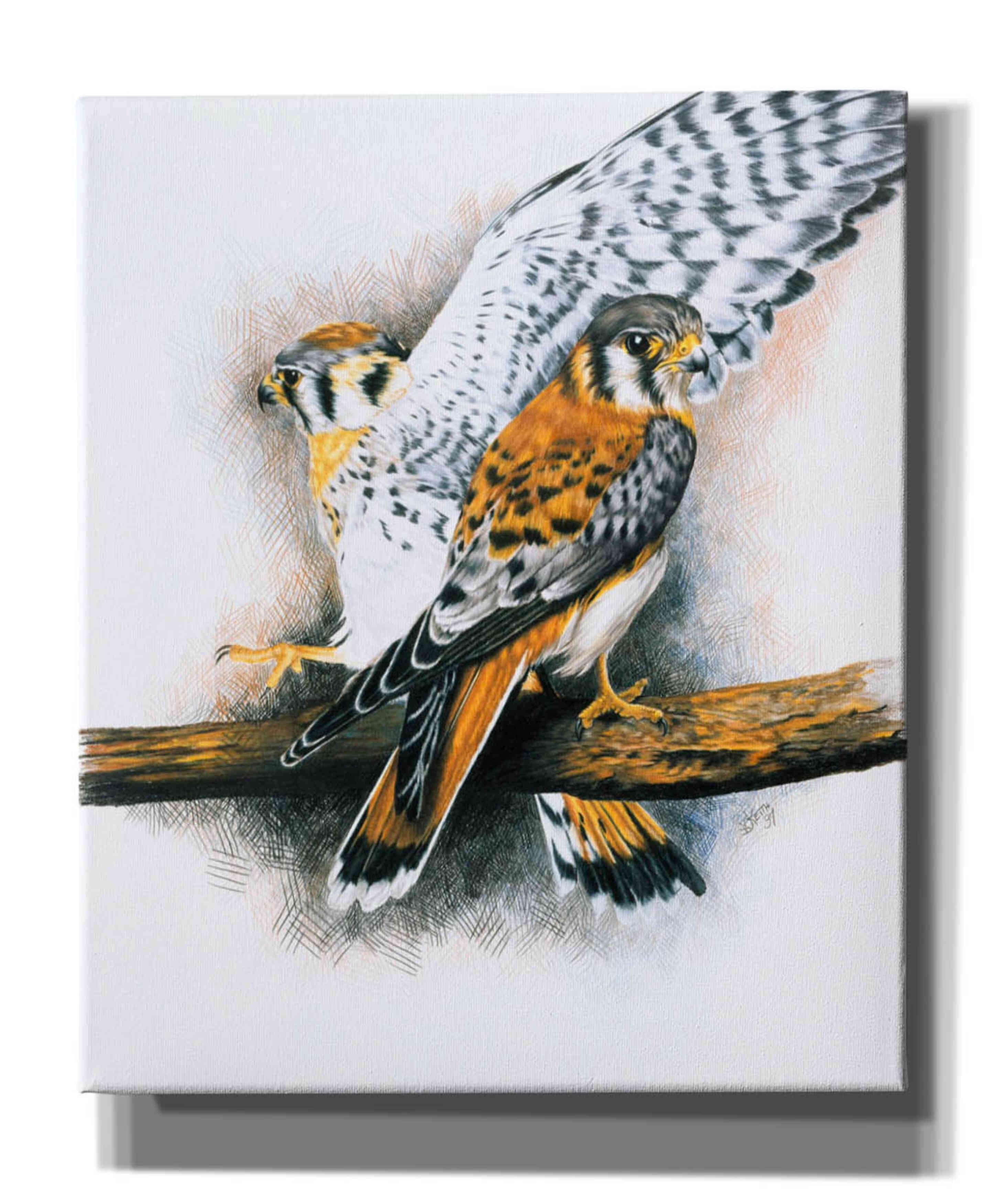 Graffiti Raptor Cute Epic Graffiti 'Elegant Raptor' by Barbara Keith, Canvas Wall Art, 20 ...