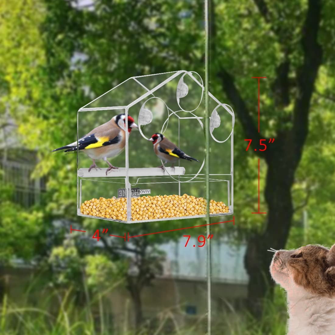Clear Window Bird Feeder, Squirrel Proof with Strong Suction Cups Removable  Sliding Seed Tray, Fits for Wild Birds. Best Gift