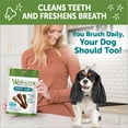 thumbnail image 6 of WHIMZEES By Wellness Daily Use Pack Grain Free Dental Treats for Dogs, Small Brushzees Bag of 14, 6 of 9