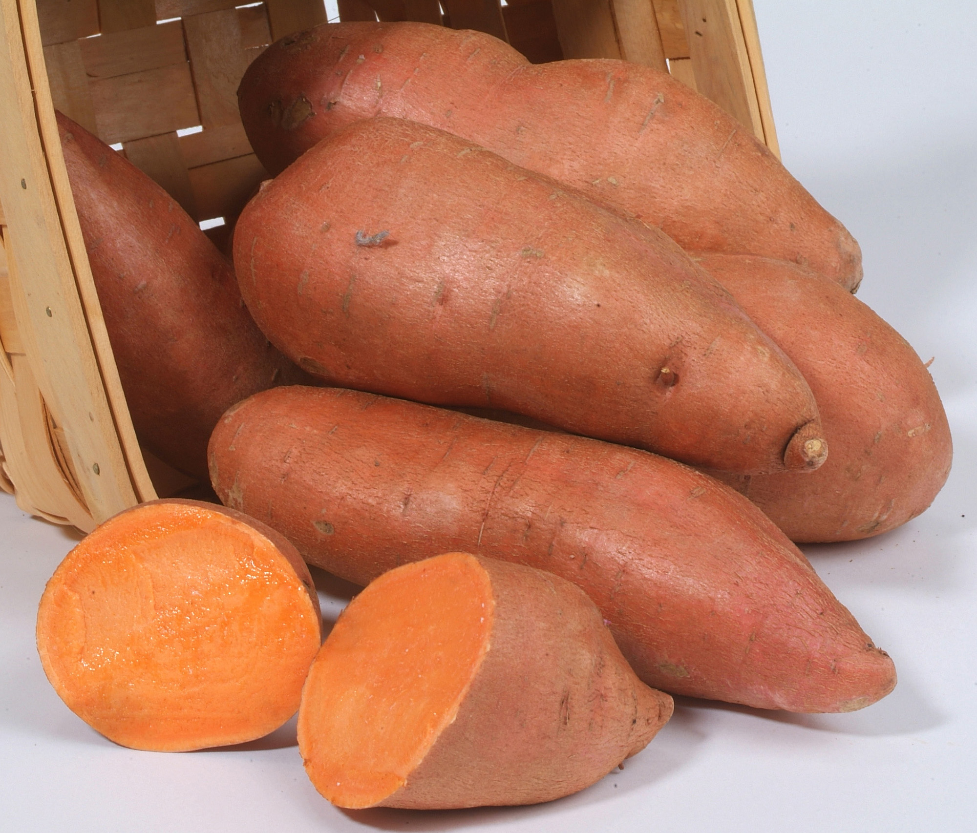 Hernandez Sweet Potato Slips Ipomoea batatas 2 Slips