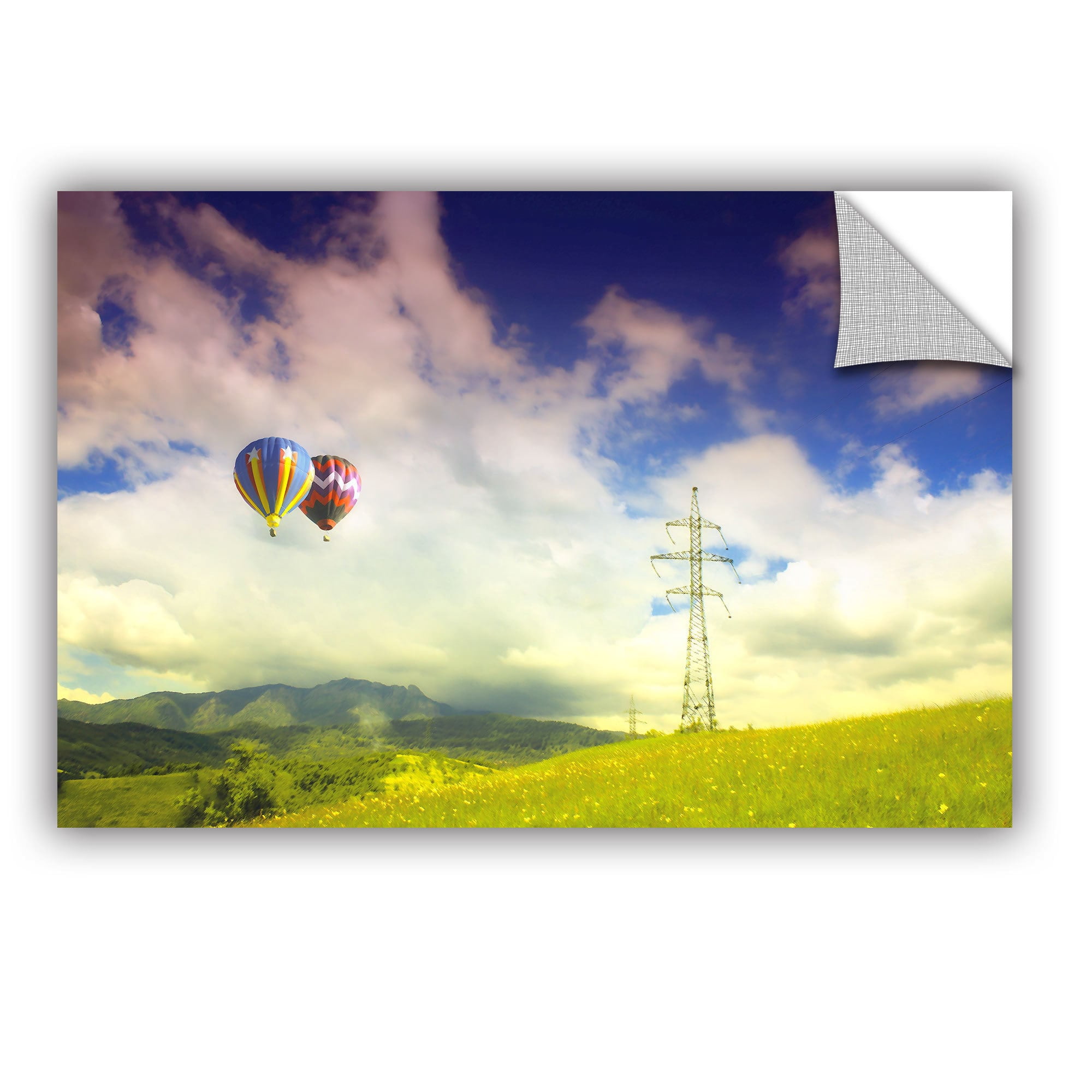 ArtWall Dragos Dumitrascu "Duo Magic" ArtAppealz Removable Wall Art