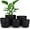 Black, variant on 5 Pack Plant Pots, Flower Pots with Drainage Holes and Saucers, Plastic Planters for Indoor Outdoor Garden Plants, 7/6.5/5.5/5/4.5 Inch（White）