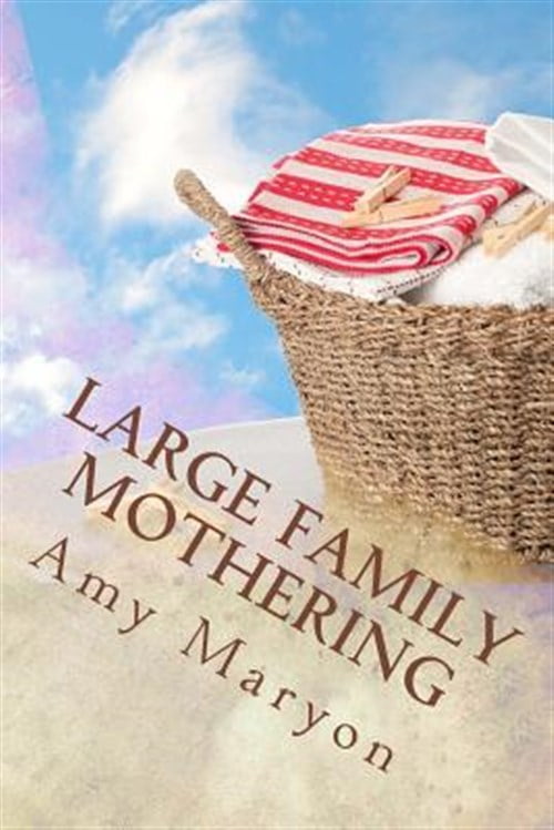 Pre-Owned Large Family Mothering: Building Your Home One Piece at a Time