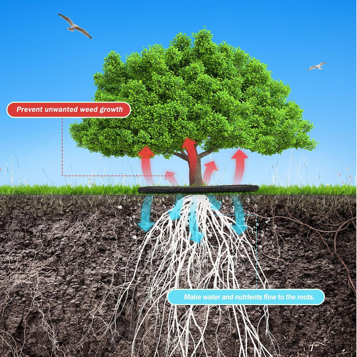 4 Pack Non-Woven Tree Mulch Ring 24.4 Inch, NOGIS Round Mulch Ring Tree Protector Mat with 16 Garden Stakes, Reusable Heavy Duty Weed Barrier Fabric for Weed Control Root Protection