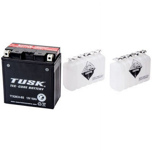 Tec-Core Battery with Acid TTX20CHBS Maintenance-Free for Arctic Cat 700 TRV GT 2011