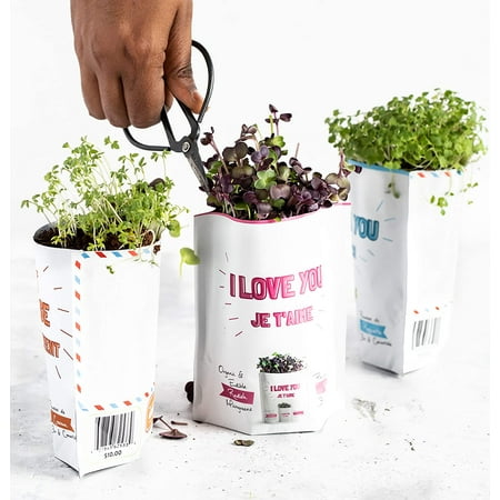 congrats microgreen