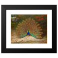 thumbnail image 2 of Archibald Thorburn 24x20 Black Modern Framed Museum Art Print Titled - Peacock and Peacock Butterfly, 2 of 5