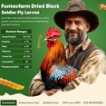 Funtacfarm Dried Black Soldier Fly Larvae, Superior to Mealworms Treat