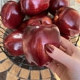 thumbnail image 6 of Realistic Artificial Fruit Faux Food Props for Dining Table Home Cabinet Display Photo Props Decor,Desktop Ornaments For Home,Desktop Ornament 桌面摆件, 6 of 9