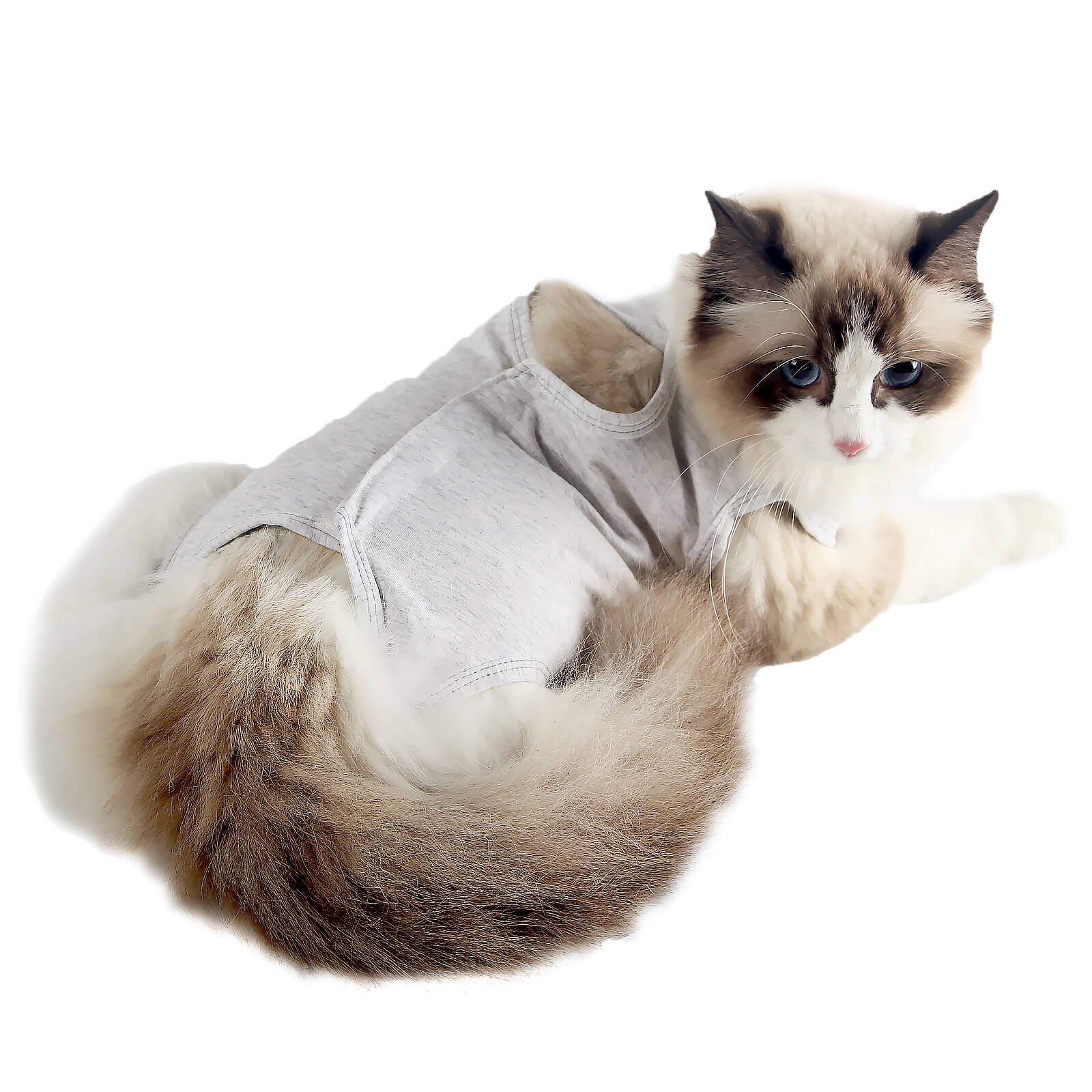 Dotoner Cat Recovery Suit for Abdominal Wounds or Skin Diseases, after Surgery Wear, ECollar