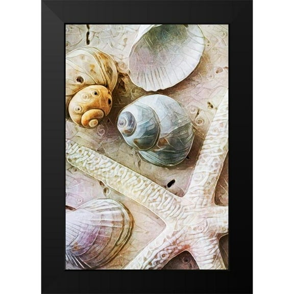 Aldridge, Ashley 11x14 Black Modern Framed Museum Art Print Titled - Seashells on Sand Starfish on Land I