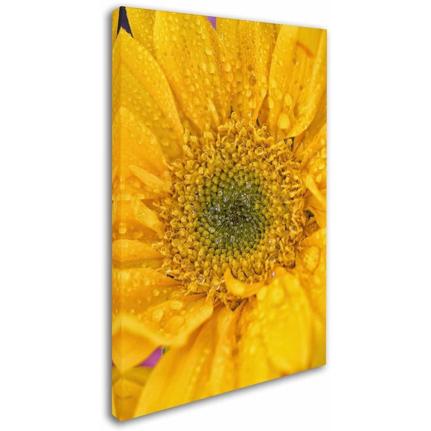 Trademark Fine Art 'Joyful Color' Canvas Art by PIPA Fine Art