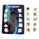 thumbnail image 4 of Juego de rompecabezas de clavijas de madera para niños Rompecabezas de madera My Body para niños pequeños de 3 años en adelante estilos B, 4 of 9