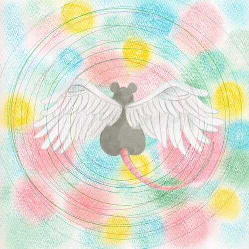 Mei Semones - Animaru - Music & Performance - Vinyl