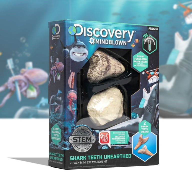 Discovery Kids Extreme Shark Science Teeth Molding Kit - New In Box -  Educational Toys - Levittown, New York, Facebook Marketplace