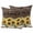 Turmeric Dark Orange White, variant on 2 Pack Outdoor Waterproof Throw Pillow Covers,Summer Vintage Sunflowers Brown Wood Decorative Square Patio Pillowcases for Chair Couch Sofa 16x16in