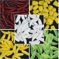 thumbnail image 4 of OROOTL Worm Bass Fishing Lure Kit 170pcs Soft Plastic Earthworm Corn And Maggot Shape Fishing Lures Smelling Fake Worms Fishing Lures Carp Fishing Baits with Box, Freshwater Saltwater Lure Baits, 4 of 7