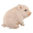 thumbnail image 5 of Ebros Rustic Adorable Animal Farm Babe Fat Nude Piglet Pig Sitting Figurine 6"L, 5 of 9