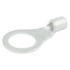 Allstar Performance ALL76015 0.31 in. Hole 16-14 Gauge Non-Insulated Ring Terminal - Pack of 20