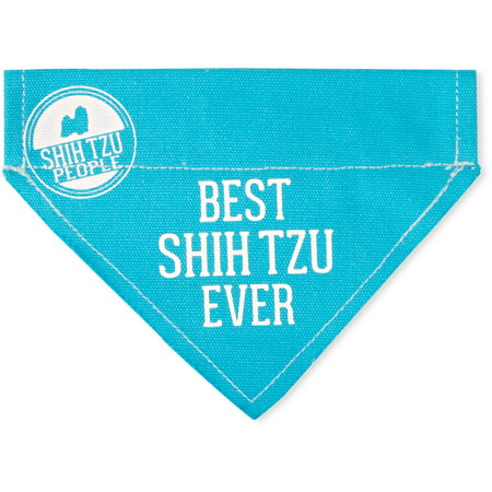Pavilion - Best Shih Tzu Ever - Sky Blue Canvas Small Dog Bandana Collar - 7