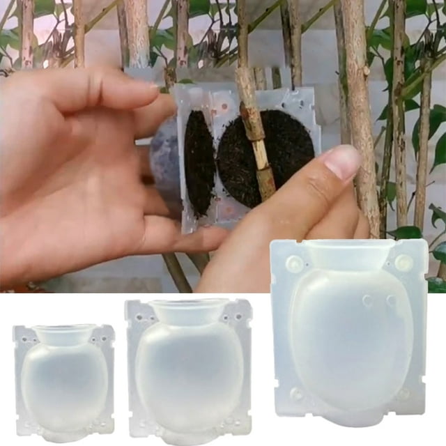 Plant Root Growing Box, Grafting Device Reusable Safety Lock Plant Propagator With Specification For Indoor And Outdoor Plants