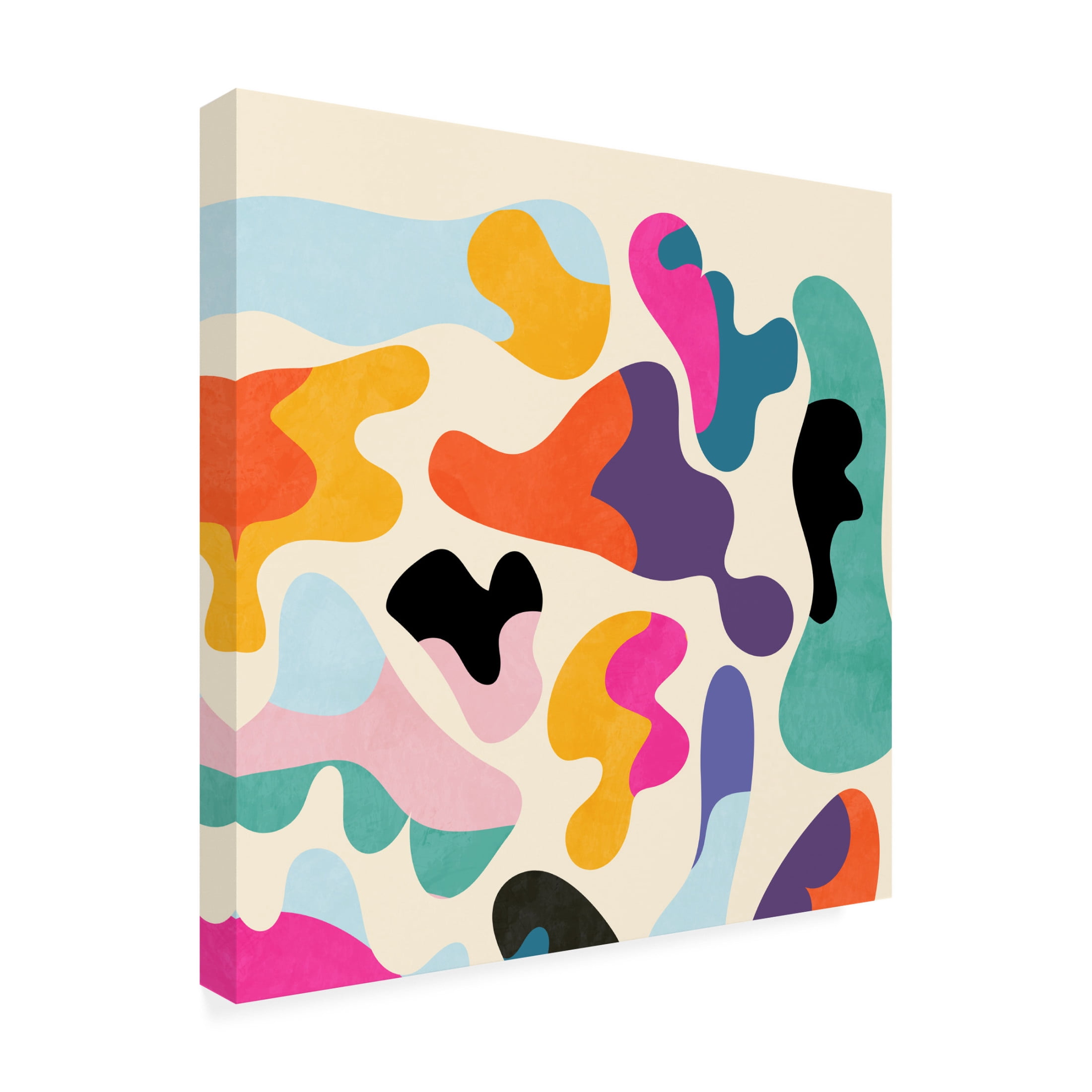 Trademark Fine Art Ana Rut Bre Pattern3 Mid Bunt 11 Canvas Wall Art
